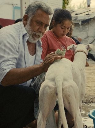 poster du film Ciudad Sin Sueño