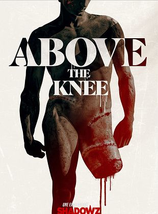 poster du film Above the Knee