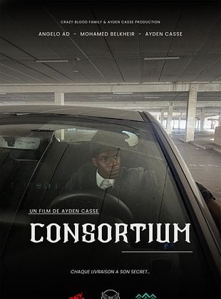 poster du film Consortium