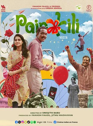 poster du film Painkili