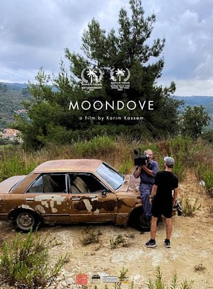 poster du film Moondove