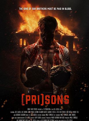 poster du film Carnages