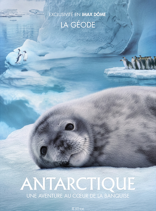 poster du film Antarctique : Une aventure au cœur de la  banquise