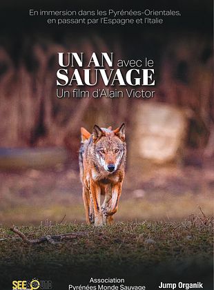 poster du film Un an avec le sauvage