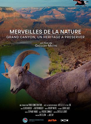 poster du film Merveilles de la nature - Grand Canyon un héritage à préserver