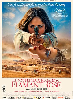 poster du film Le Myst�rieux regard du flamant rose