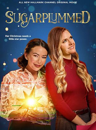 poster du film Les règles d'or d'un Noël parfait