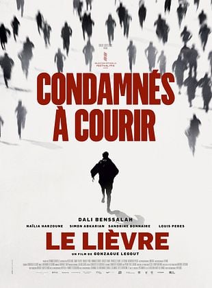poster du film Bande-annonce Le Lièvre