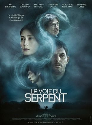 poster du film La Voie du serpent