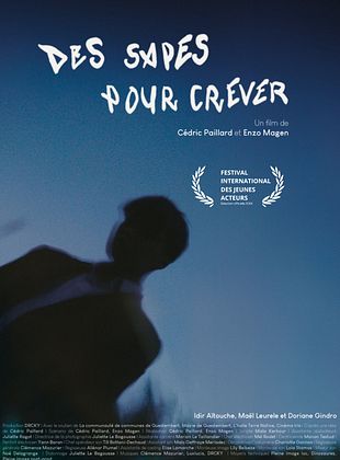 poster du film Des sapes pour crever