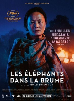 poster du film Les Elephants dans la brume