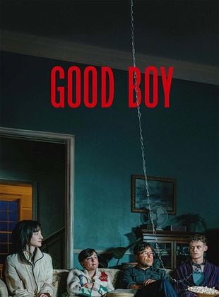 poster du film The Good Boy