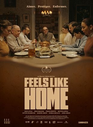Affiche du film Feels Like Home