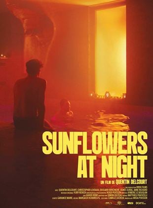 Sunflowers at Night