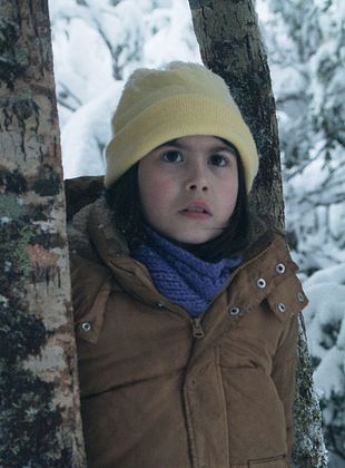 poster du film Degel