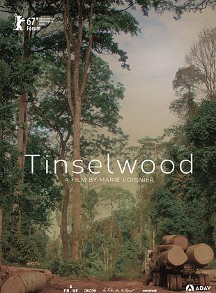 poster du film Bande-annonce Tinselwood