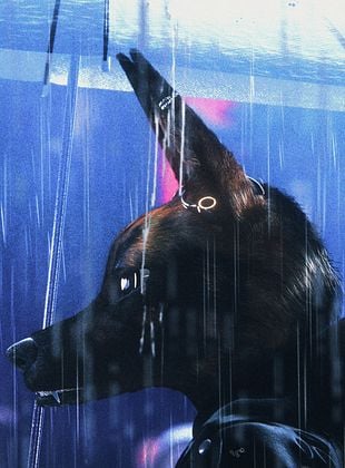 poster du film Bouchra