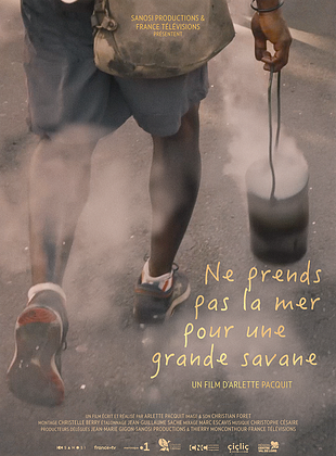 poster du film Ne prends pas la mer pour une grande savane