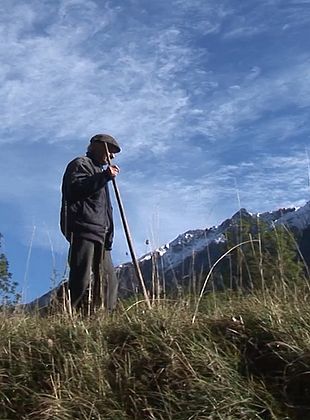 poster du film Un jour pousse l’autre