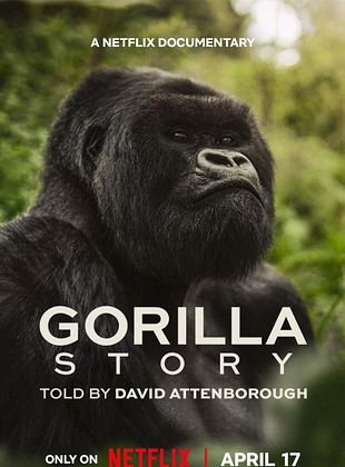 poster du film Bande-annonce Une histoire de gorilles avec David Attenborough