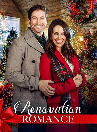 poster du film Rénovation Romance