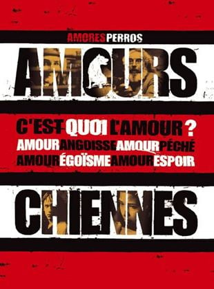Bande-annonce Amours chiennes