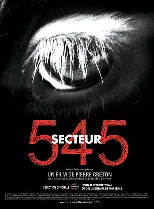 poster du film Bande-annonce Secteur 545