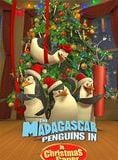 Madagascar - Mission Noël