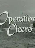 Operation Cicero