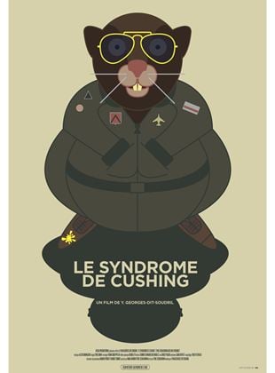 Le Syndrome de Cushing