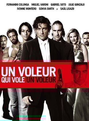 poster du film Bande-annonce Un voleur qui vole un voleur