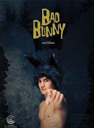 poster du film Mauvais Lapin