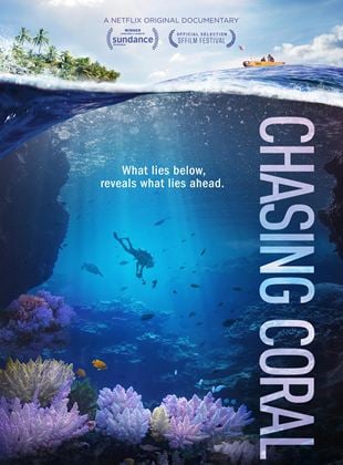 Bande-annonce Chasing Coral