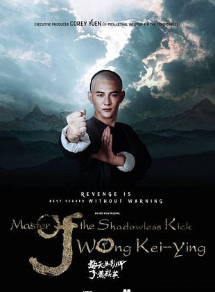 poster du film Le Maître du coup de pied fantôme VOD