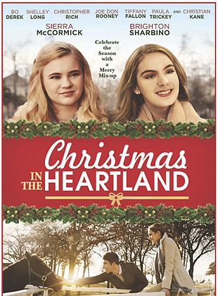 poster du film On a échangé nos Noëls