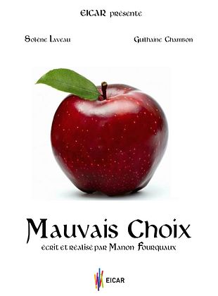 poster du film Mauvais Choix