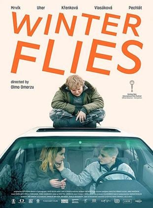 Winter Flies