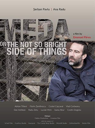 poster du film Meda ou Le moins bon côté des choses