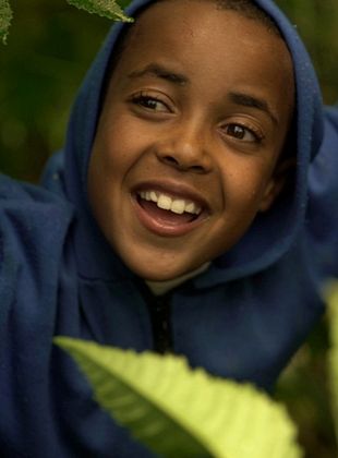 poster du film Anbessa