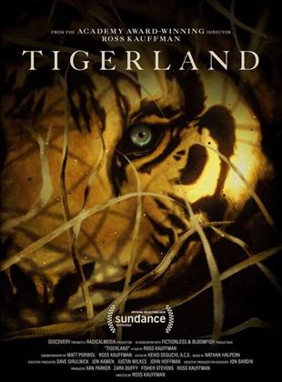 Tigerland : le dernier espoir du tigre