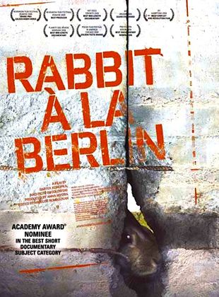 Bande-annonce Rabbit à la berlin