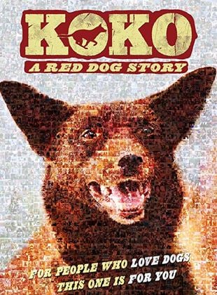 Bande-annonce Koko: A Red Dog Story