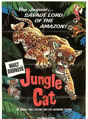 Bande-annonce Jungle Cat