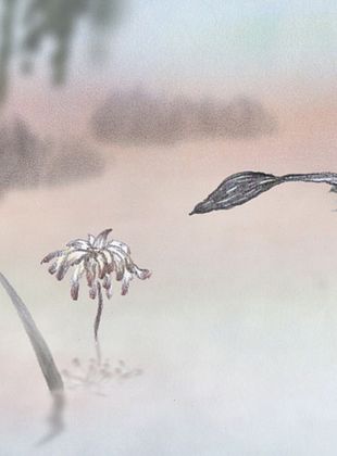 poster du film Un oiseau qui aime une fleur