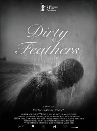 Dirty Feathers