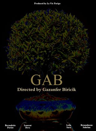 poster du film GAB