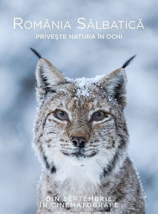 poster du film La Roumanie sauvage
