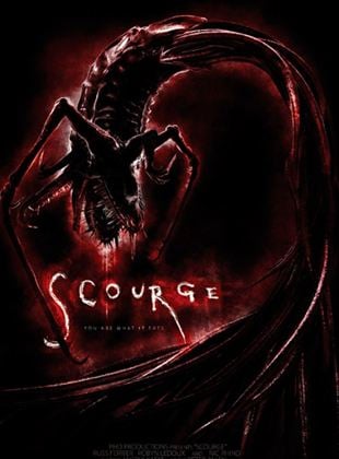 Scourge