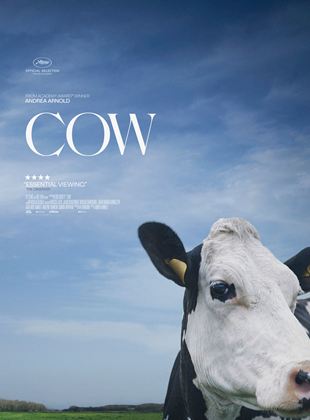 Bande-annonce Cow