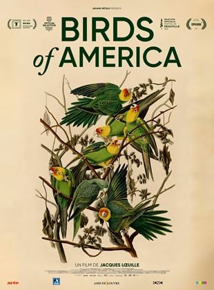 Bande-annonce Birds of America